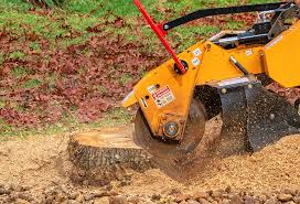 Best Tree and Shrub Care  in Twin City, GA